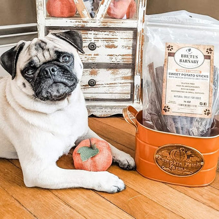 BRUTUS & BARNABY USA Sweet Potato Dog Treats - Grain Free, Cinnamon Pumpkin Crunchy Sticks are Great Tasting, Promotes Positive Dog Gut Health with Natural Anti-Diarrhea Properties,(2lb Bag)