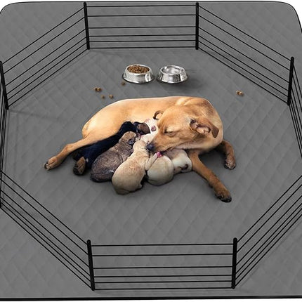 CoolShields Washable Puppy Dog Pee Pad, 48" X65" Extra Large, Waterproof Whelping Training Pet Mat for Playpen, Crate, Potty, Floor, Bed, Sofa and Trunk, Reusable Pee Pads for Dogs, Cats, Bunny