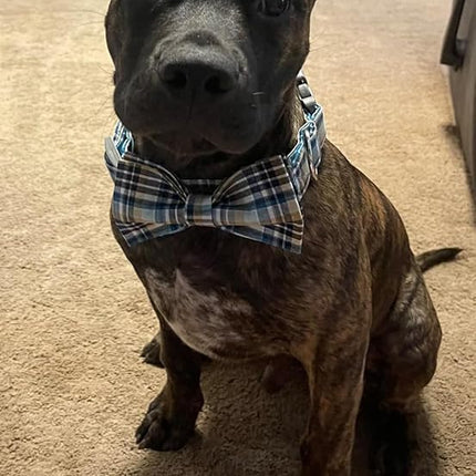 Lionet Paws Dog and Cat Collar with Bowtie Grid Collar Plastic Buckle Light Adjustable Collars for Small Medium Large Dogs