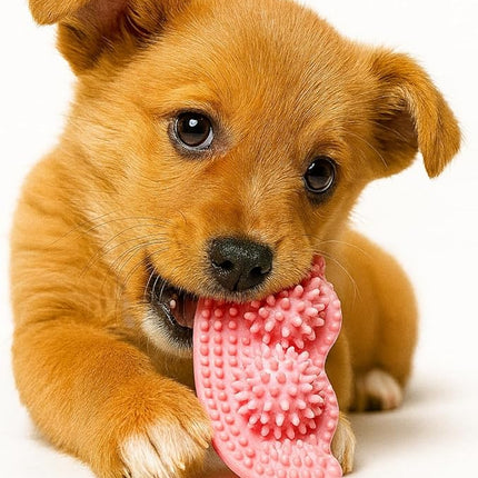 Jalousie Multipack Dog Squeaky Toys Bulk Bundle Pup Toy - Puppy Toys for Pets for Small Medium Breed (30 PCs Gift Basket)