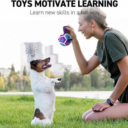 QDAN Small Dog Toys, Puppy Balls, Dog Balls with Straps for Small Breed, Soccer Ball for Dogs, Puppy Toys, Dog Birthday Gift (Purple Blue, 3.5 inch)