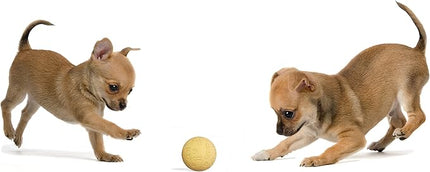 Snug Rubber Dog Balls for Small and Medium Dogs - Tennis Ball Size - Virtually Indestructible (3 Pack - Hot)