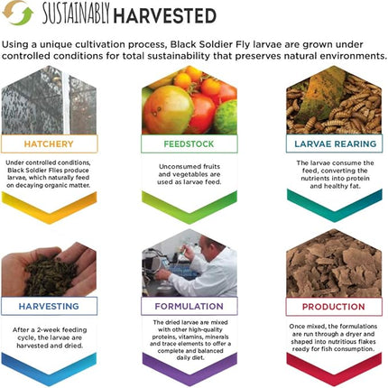 Fluval Bug Bites Fish Food with Spirulina, Flakes for Small to Medium Sized Fish, 0.63 oz., A7354, Brown