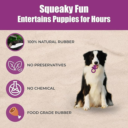 SPOT Puppy Pacifier Latex Dog Toy – Cute Binky-Shaped Chew Toy for Teething Puppies & Small Dogs, Best for Light Chewers, Durable & Non-Toxic with Squeaker, 4.5” – Assorted Colors