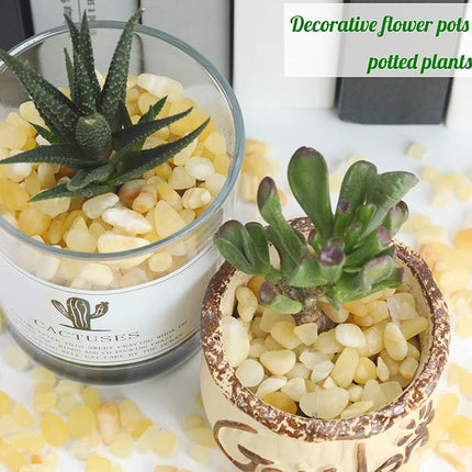 1lb Yellow Jade Aquarium Gravel Rocks Natural Tumbled Healing Crystal Chips Bulk Gemstones Crushed Stones for Fountain Vase Filler Planters Decorative Fish Tank Potted Reiki Energy Balancing