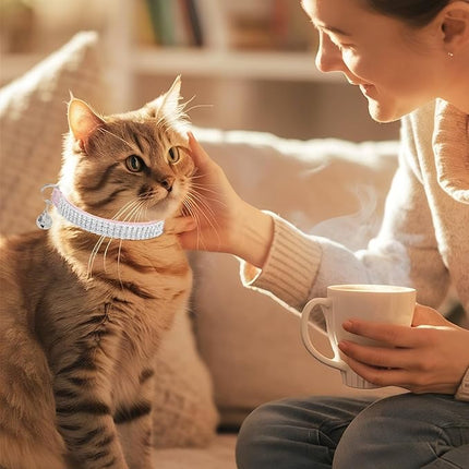 EXPAWLORER Soft Velvet Safe Cat Collars for Girl Cats - Rhinestones Bling Diamante Adjustable Collars Breakaway- Chirstmas Cat Clollar Gifts with Bells for Boy Cats Kitty and Small Dogs