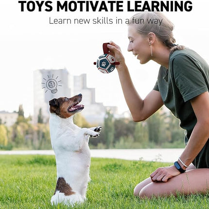 QDAN Small Dog Toys, Puppy Balls, Dog Balls with Straps for Small Breed, Soccer Ball for Dogs, Puppy Toys, Dog Birthday Gift (Blue Red, 3.5 inch)