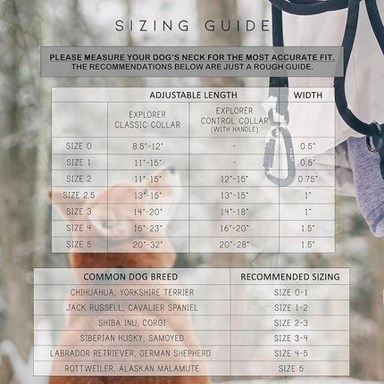 Made to ROAM Premium Dog Collar - Adjustable Heavy Duty Nylon Collar with Quick-Release Metal Buckle (Arizona Sunkissed, Classic Size 5)