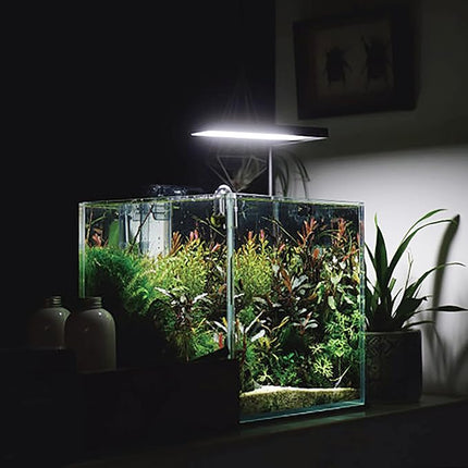 Ultra Clear Rimless Aquarium Tank 6-60 gallons Low Iron Glass (7Gal - Top Glass Canopy)