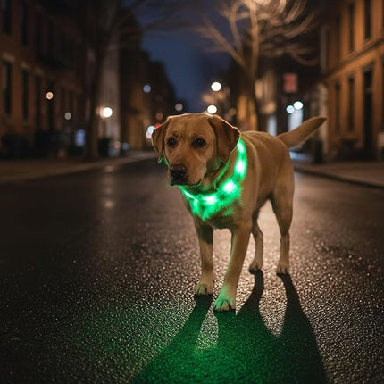 Light Up Dog Collar, Rechargeable Glowing Dog Collar, Light Dog Collar for Night Walking with 1640 FT of Visibility - Brightest LED Dog Collar Light, 3 Flashing Modes, Keeps Your Pets Safe in The Dark