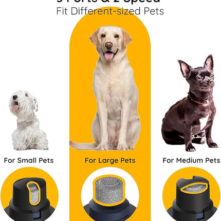 Bonve Pet Nail Grinder for Dogs - Electric Dog Nail Trimmers with 2 LED Lights Super Quiet, Coarse & Fine Wheels. Rechargeable, 2 Speeds for Small Large Dogs & Cats