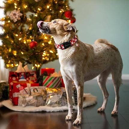 ARING PET Christmas Dog Collar-Cute Red Santa Claus Dog Collars, Adjustable Christmas Pet Collars Puppy Collar with Quick Release Buckle for Girl&Boy Dogs