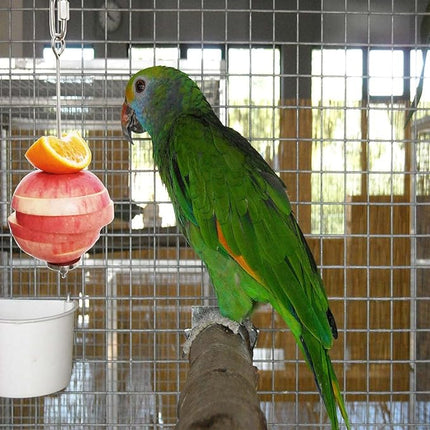 Bird Food Holder, Feeder Toy, Foraging Toy, Treat Skewer, Stainless Steel Parrot Fruit Vegetable Stick Holder (L)