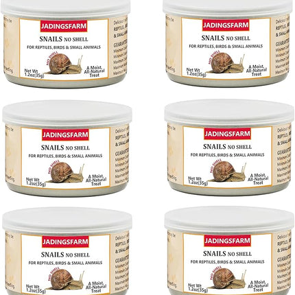 6 Pack Canned Snails for Reptiles, Fish, Birds and Small Animals, Snails, Healthy High Protein Treat, Reptile Bird Fish Food 7.2 Ounces Total