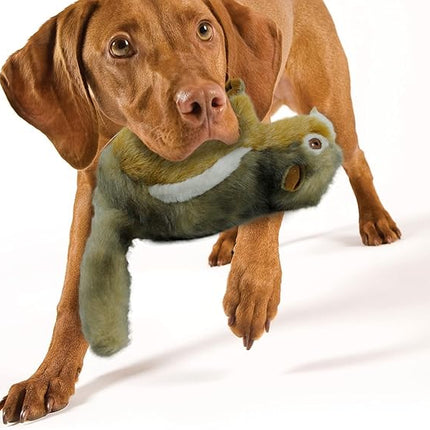 ALL FOR PAWS Dog Squeaky Toys Stuffed Animal Chipmunk Pet Plush Toys Squeak Chew Toy for Dogs Large