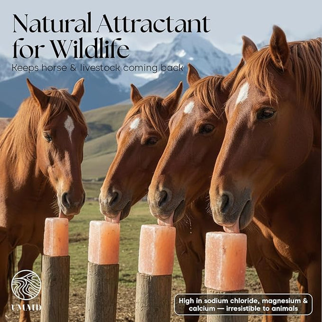 UMAID Himalayan Salt Block 4-Pack, 8x4x2 Inches – Natural Pink Mineral Block for Horses, Cows, Goats & Sheep – Long-Lasting Livestock Salt Supplement