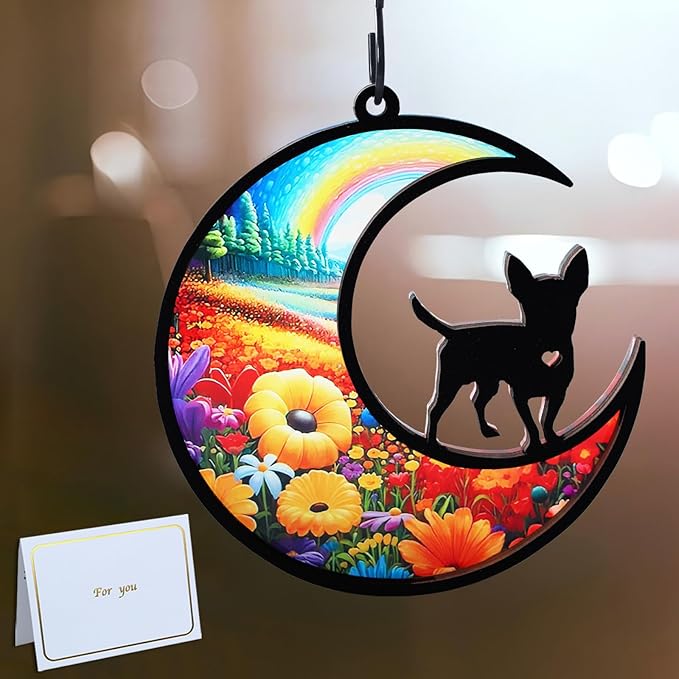 DIY Chihuahua Memorial Suncatcher with Sympathy Card,Loss of Dog Sympathy Gift,Rainbow Bridge Dog Memorial Gifts, Chihuahua Gifts for Women, Xmas Dog Decor Ornament (5-Chihuahua)