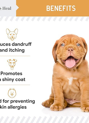 Omega 3 Fish Oil for Dogs -360 Soft Chew Omega Treats for Skin and Coat -Salmon Oil Blend of Essential Fatty Acids, Vitamins, Antioxidants, Minerals -Made in USA (2 Packs of 180, Chicken Flavor)