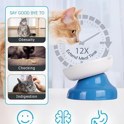 Y YHY Ceramic Slow Feeder Cat Bowl, Elevated Cat Bowl Tilted Design Slow Feeder for Dog and Cat for Dry and Wet Food, Blue