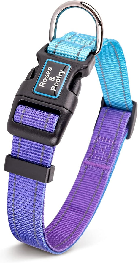 Roses&Poetry Reflective Dog Collar with Gradient Violet, Adjustable Durable Pet Collars for Small Medium Large Dogs (Violet-L)