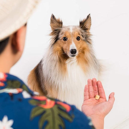 LIFE ESSENTIALS BY CAT-MAN-DOO All Natural Freeze Dried Wild Alaskan Salmon Treats for Cats & Dogs - Single Ingredient No Grain Snack with No Additives or Preservatives, 5 Ounce Bag - 3 Pack