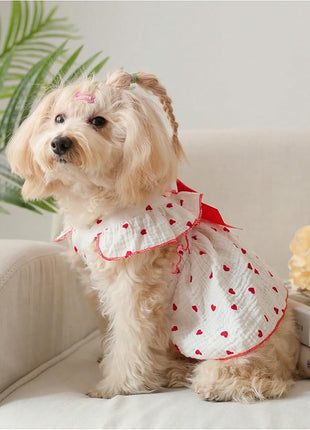 QWINEE 2 Pieces Cute Heart Pattern Dog Dress - Ruffle Trim Princess Cat Vest With Lace Trim - Summer Pet Clothes for Small Medium Cats Dogs Kitten Puppy - Red and Black XX-Large