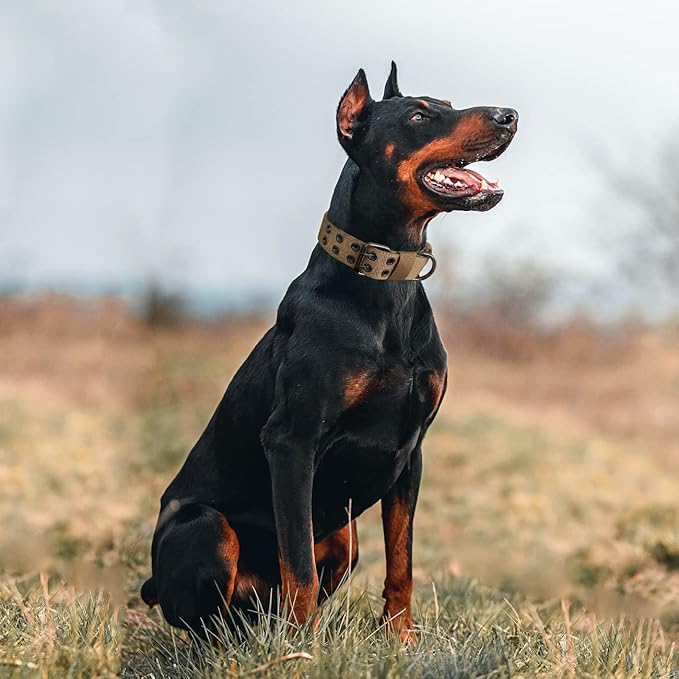 Tactical Dog Collar Military Adjustable Dog Collars Soft Nylon Training Collar with Patch Heavy Duty Metal Buckle Collars for Medium Large Dogs (Brown, XL)