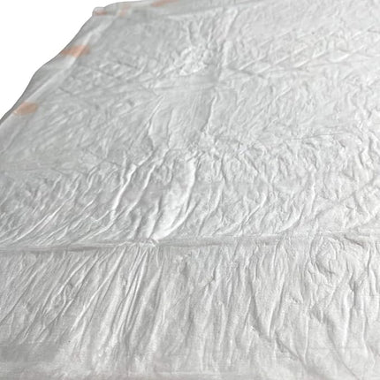 WizSmart Heavyweight Dog Pee Pads for Large Dogs, Puppies, Seniors – Ultra Absorbent, Leak Proof, Odor Control, Quick Dry, Training Pads with Stay Put Tabs – 23.5" x 22", 10 Cup Capacity