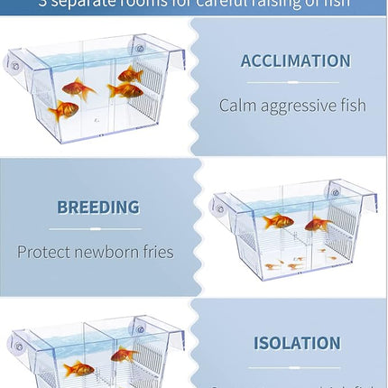 Pawfly Aquarium Fish Breeding Box Acrylic Hatchery Incubator Tank with Suction Cups Medium Isolation Box for Baby Fish Shrimp Betta and Guppy