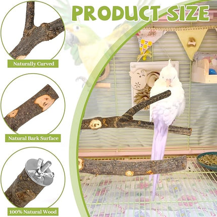 5PCS Natural Wood Bird Perch Set - Straight & Forked Branch Perches Cage Perches Accessories for Small Medium Birds, Parakeets, Budgies, Cockatiels, Conures