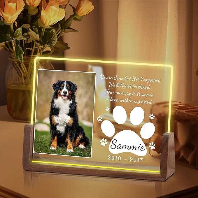 Personalized Pet Memorial Gifts for Dogs, Dog Memorial Gifts for Loss of Dog, in Memory of Dog, Pet Sympathy Gifts for Dogs, Pet Memorial Gifts Cat, Dog Memorial Acrylic Night Light, Pet Loss Gifts