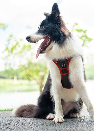 PHOEPET 2019 Upgraded No Pull Dog Harness, Reflective Adjustable Vest, with a Training Handle + 2 Metal Leash Hooks+ 3 Snap Buckles +4 Slide Buckles(L, Black)