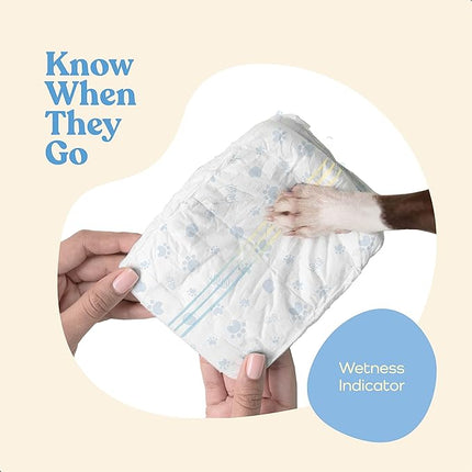 Comfortable Male Dog Diapers - 12-Pack Super Absorbent Disposable Male Dog Wraps- FlashDry Gel Technology, Wetness Indicator Doggie Diapers- Leakproof Belly Wraps for Incontinence, Excitable Urination