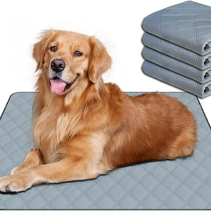 RIOUSSI Washable Pee Pads for Dogs, Reusable, Absorbent, Leakproof, Non Slip Pet Puppy Pads for Potty Training. Light Gray, 20x28 Inch(4pack)