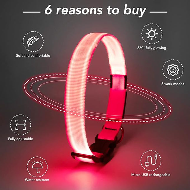 Light Up Dog Collar at Night, Led Dog Collar Adjustable, Rechargeable Waterproof, Dog Lights for Night Walking, Glow in The Dark Collar Light for Medium Large Dogs