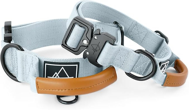 Made to ROAM Premium Explorer Control Collar - Adjustable Heavy Duty Nylon Dog Collar with Quick-Release Metal Buckle and Leather Handle (Alaska Daybreak, Size 2, Control)