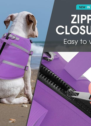 Queenmore XS Dog Life Jacket, Dog Life Vest for Swimming, Life Jackets for Small Dogs, Small Doggie Life Vest for Swimming, Adjustable Pet Life Vest for Boating, Cat Lifevest (Purple, XS)
