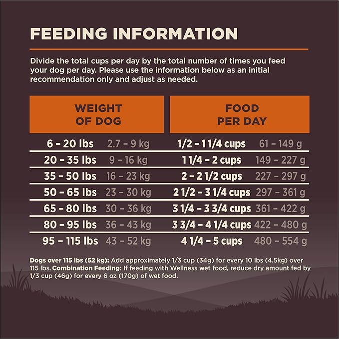 Wellness CORE Dry Dog Food, Grain-Free, High Protein, Natural, Original Turkey & Chicken Recipe, (26-Pound Bag)