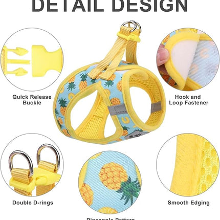 EXPAWLORER Dog Harness and Leash Set - Cute Puppy Harness Leash Dog Collar with AirTag Holder Silicone Case, Soft Padded Step in Pet Vest Reflective for Outdoor Walking, Pineapple L