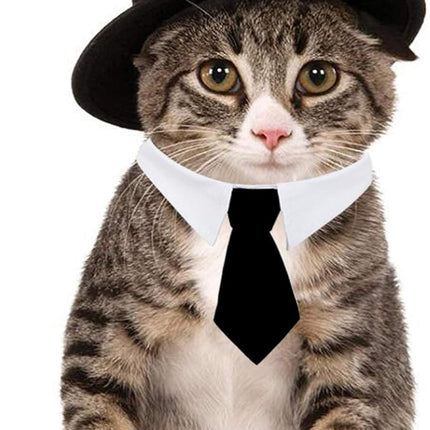 HUYADAPI Pet Bow Tie Adjustable Formal Collar Neck Tie and Costume Company Top Hat for Cats Dogs Puppy Pets, 2 Pieces