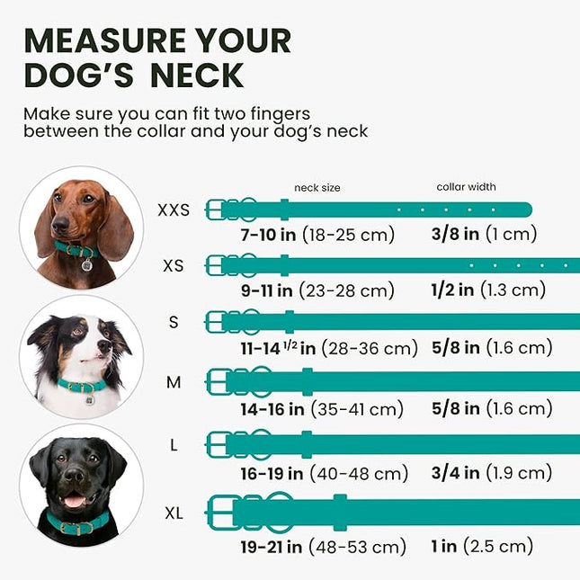 BronzeDog Rolled Leather Dog Collar with QR ID Tag, Adjustable Soft Round Collars for Small Medium Large Dogs Puppy (9" - 11" Neck Size, Turquoise)