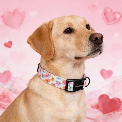 ARING PET Valentine's Day Dog Collar, Cute Candy Heart Pet Collars with Quick Release Buckle for Puppy Small Medium Large Boy Girl Dogs-L