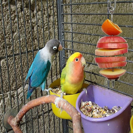 Bird Food Holder, Feeder Toy, Foraging Toy, Treat Skewer, Stainless Steel Parrot Fruit Vegetable Stick Holder (L)