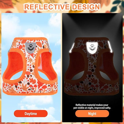 EXPAWLORER Thanksgiving Autumn Puppy Harness - Dog Collar and Leash - Soft Mesh Padded Adjustable Step in Small Dog Vest Harness No Pull, Reflective Escape Proof for Outdoor Walking, Orange M