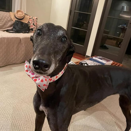 Lionet Paws Valentines Day Dog Collar with Bowtie, Dog Bowtie Collar with Metal Buckle for Dogs and Cats, Adjustable Comfortable Dog Collar Girl Boy Gift，XXS, Neck 7-11 in