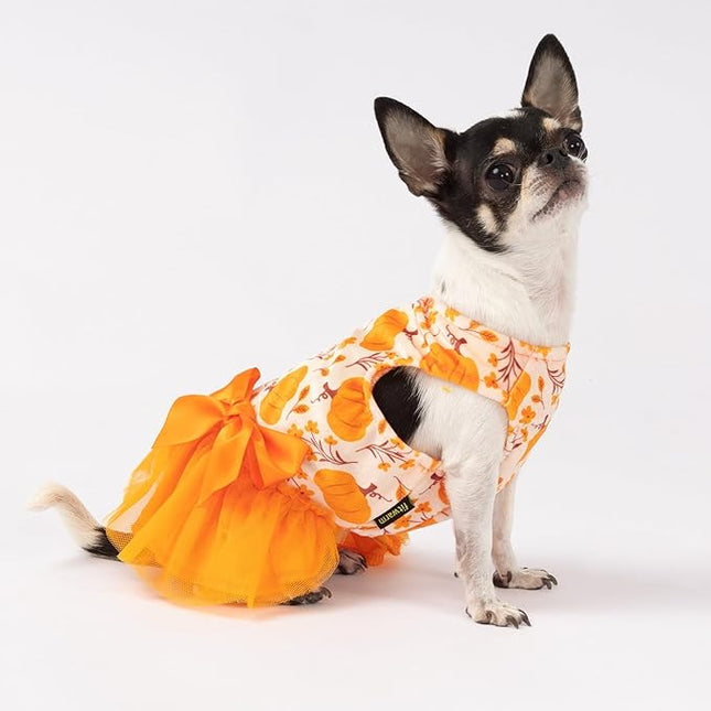 Fitwarm Pumpkin Flower Dog Dress, Thanksgiving Outfit for Small Dogs Girl, Fall Pet Outfit, Beige, Orange, XS