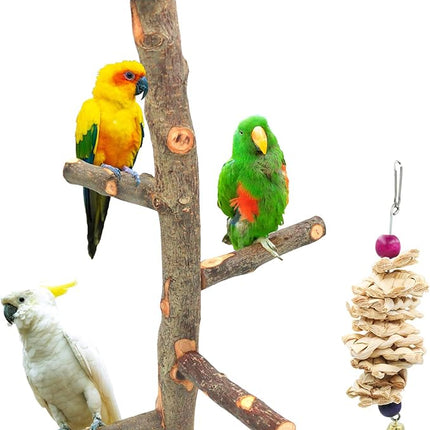 Bird Perch Nature Apple Hard Wood Stand, Parrot Stand Toy Branch Platform Paw Grinding Stick for Small Parakeets Cockatiels Conures Parrots Love Birds Finches Cage Accessories (Set 1)
