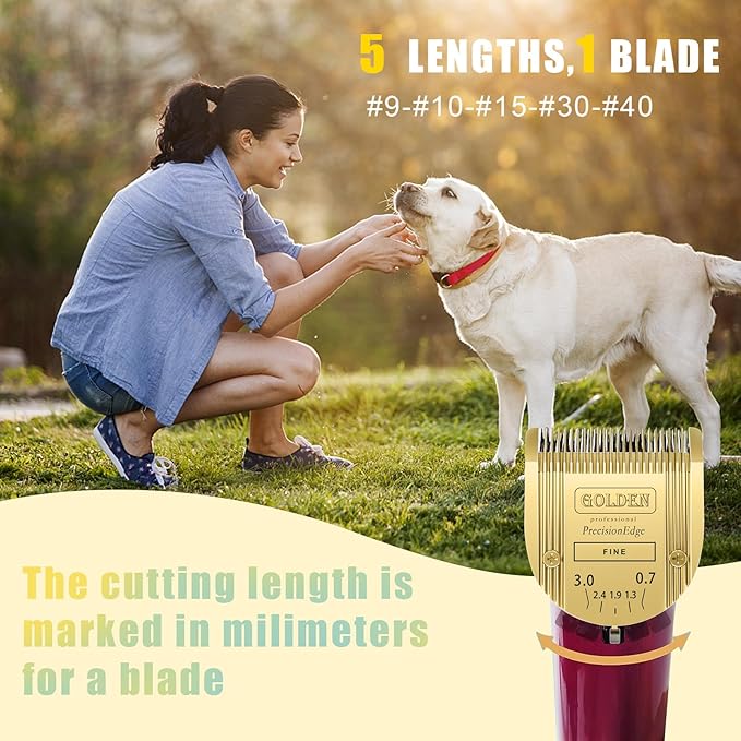 COSYONALL Adjustable Dog Grooming Clipper 5-in-1 Blade Compatible with WAHL Professional Animal Clipper Arco, Bravura, Chromado, Creativa, Figura, and Motion Pet, Dog, and Horse (Gold/3pc)