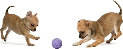 Snug Rubber Dog Balls for Small and Medium Dogs - Tennis Ball Size - Virtually Indestructible (3 Pack - Chic)