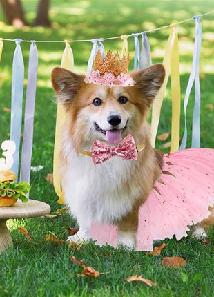 BINGPET Dog Tutu Skirt with Birthday Hat & Bowtie,Dog Wedding Dresses Birthday Outfit Girl Party Supplies,Sweet Gift for Small to Medium Pets Cats